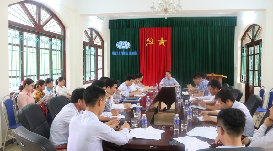 Tổng công ty đầu tư Hà Thanh sơ kết quý 1 năm 2019