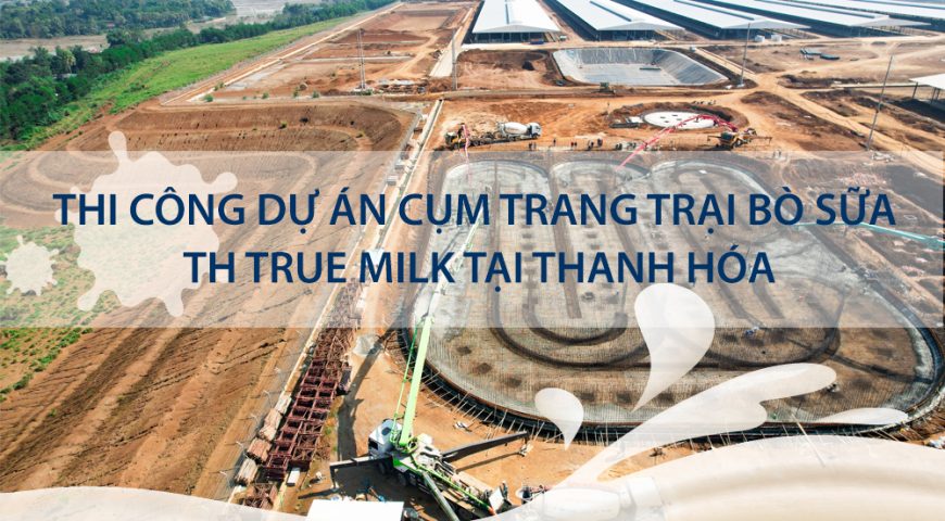 THI CÔNG DỰ ÁN CỤM TRANG TRẠI BÒ SỮA TH TRUE MILK TẠI THANH HÓA